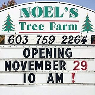 Hancock nh christmas tree farm