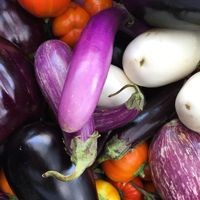 UDC Van Ness Farmers Market logo