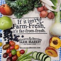Blooms & Berries Farm Market logo
