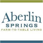 Aberlin Springs logo
