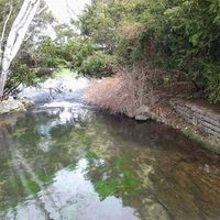 Castalia State Fish Hatchery logo