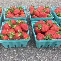 Glen Run Valley View Farm logo