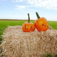 Sauder Farms LLC logo