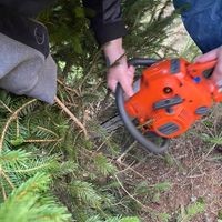 Brenner Christmas Tree Farm logo