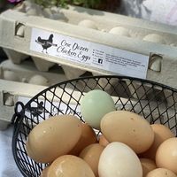 Albertina Farmstead logo