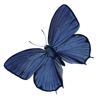 The Lost Potager logo