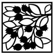 Baumhart Berry Farm logo